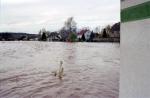 1150 J. Hochwasser in Rhüden-0070.jpg