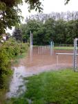 IMG_20130526_163658.jpg