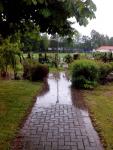 IMG_20130526_163753.jpg