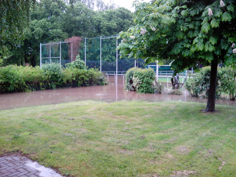 IMG_20130526_164637.jpg