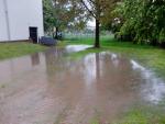 IMG_20130526_164826.jpg