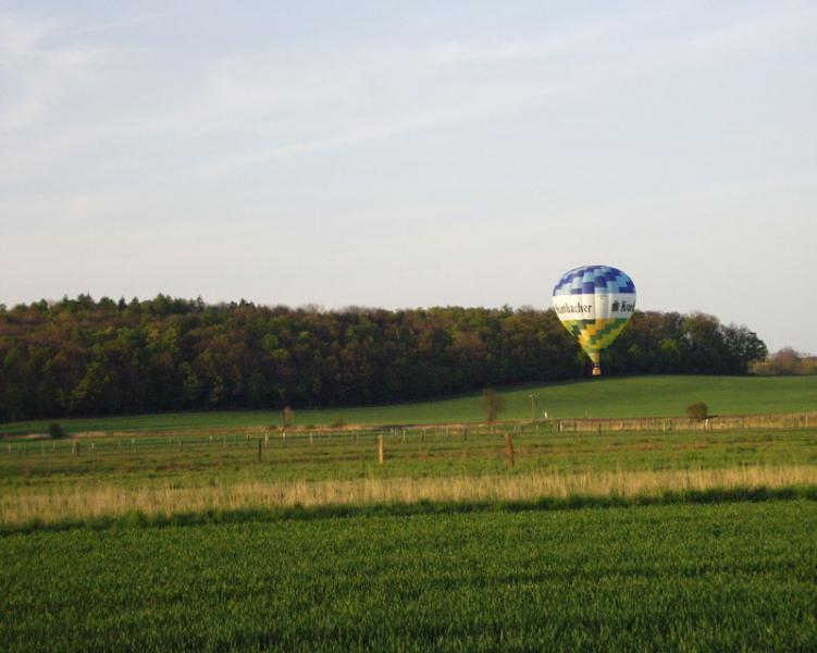 P4220242.JPG